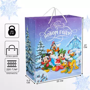 Пакет подарочный