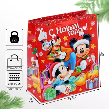 Пакет подарочный