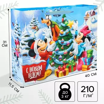 Пакет подарочный новогодний