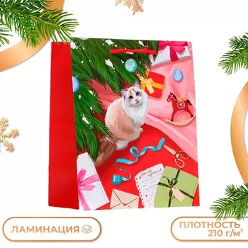 Пакет подарочный новогодний ламинированный