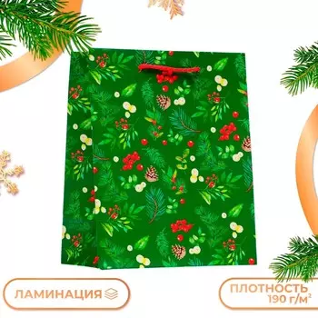 Пакет подарочный новогодний ламинированный