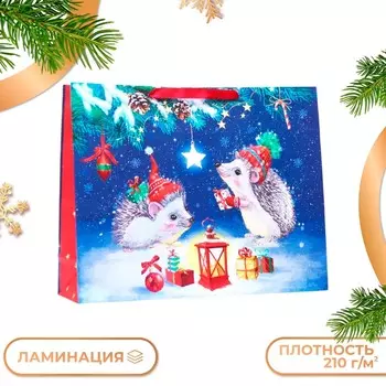 Пакет подарочный новогодний ламинированный