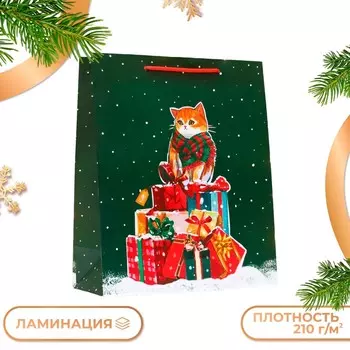 Пакет подарочный новогодний ламинированный