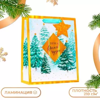 Пакет подарочный новогодний ламинированный