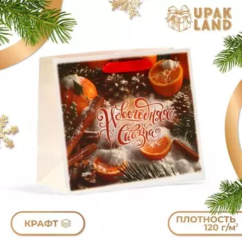 Пакет подарочный новогодний бумажный,