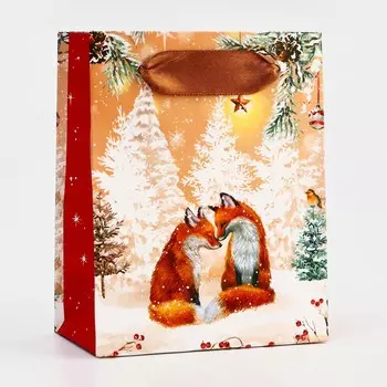 Новый год. пакет подарочный новогодний ламинированный