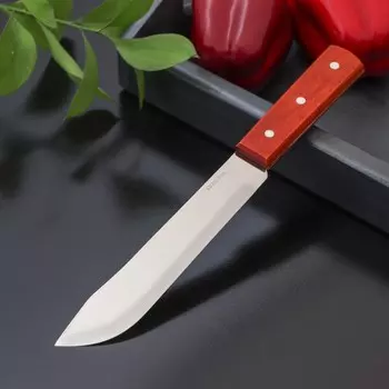 Нож для мяса и стейков доляна