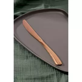 Нож столовый из нержавеющей стали magistro