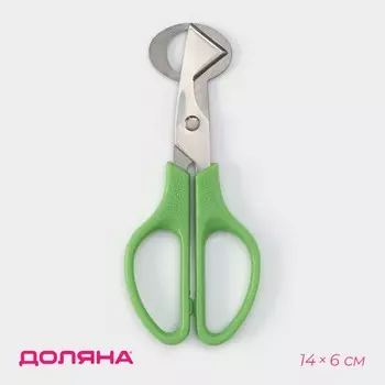 Ножницы для перепелиных яиц доляна, 146 см, цвет зеленый