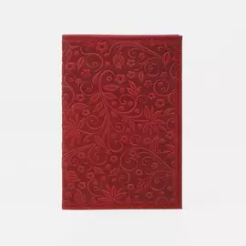 Обложка для автодокументов, цвет красный