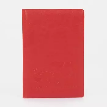 Обложка для автодокументов, цвет красный