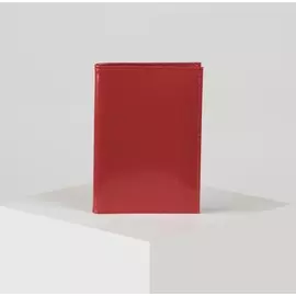 Обложка для автодокументов, цвет красный