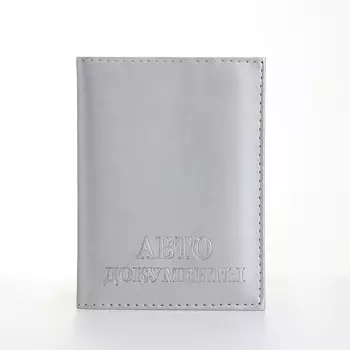 Обложка для автодокументов, цвет серебряный