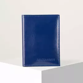 Обложка для автодокументов, цвет синий
