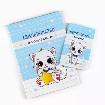 Папка для документов набор