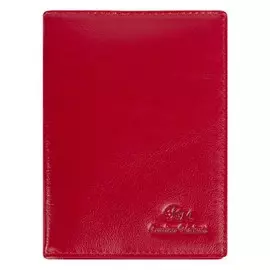 Обложка для паспорта