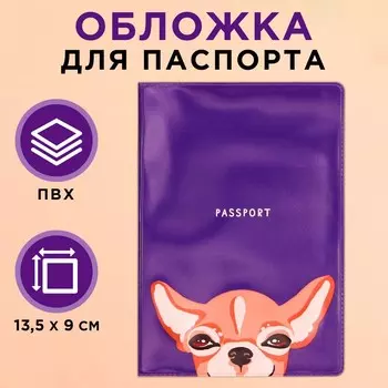 Обложка для паспорта