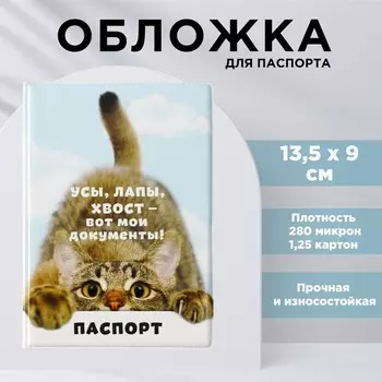 Обложка для паспорта