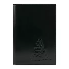 Обложка для паспорта