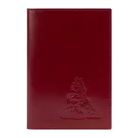 Обложка для паспорта