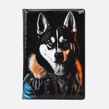 Обложка для паспорта, цвет черный