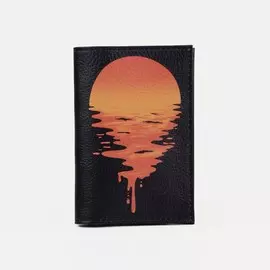 Обложка для паспорта, цвет чёрный