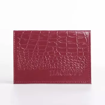 Обложка для паспорта, цвет фиолетовый