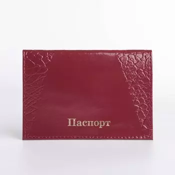 Обложка для паспорта, цвет фиолетовый