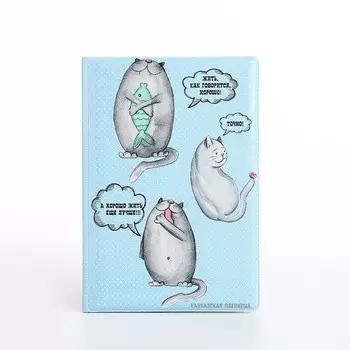 Обложка для паспорта, цвет голубой