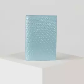 Обложка для паспорта textura, цвет голубой