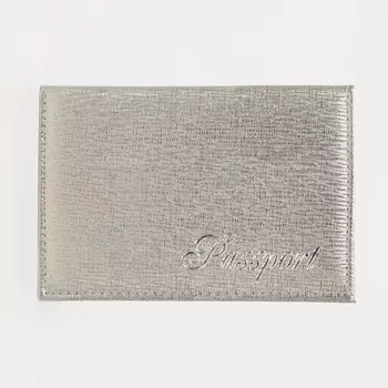 Обложка для паспорта, цвет серебряный