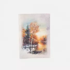 Обложка для паспорта, цвет серый