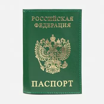 Обложка для паспорта, цвет зеленый