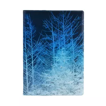 Обложка для паспорта "Winter night"