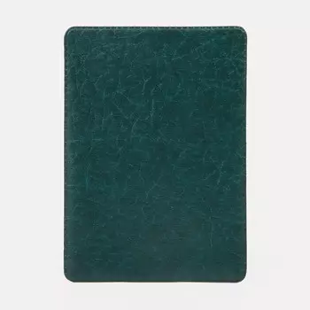 Обложка для проездного билета, цвет зеленый