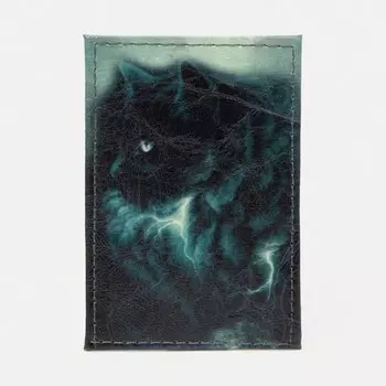 Обложка для проездного, цвет черный