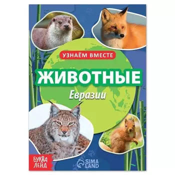 Обучающая книга