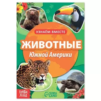 Обучающая книга