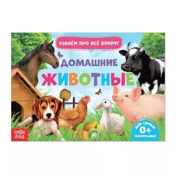 Обучающая книжка