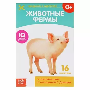 Обучающая книжка по методике г. домана