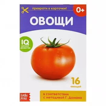 Обучающая книжка по методике г. домана