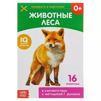 Обучающая книжка по методике г. домана