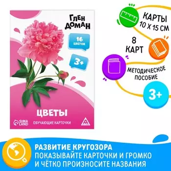Обучающие карточки по методике глена домана