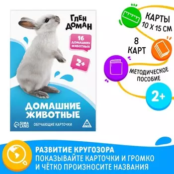 Обучающие карточки по методике глена домана