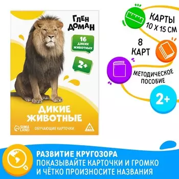 Обучающие карточки по методике глена домана