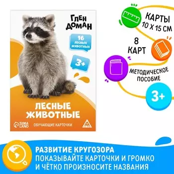 Обучающие карточки по методике глена домана