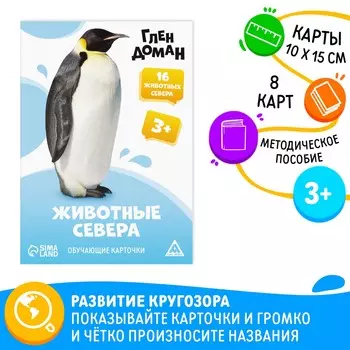 Обучающие карточки по методике глена домана