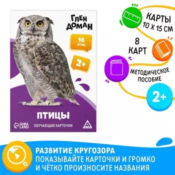 Обучающие карточки по методике глена домана