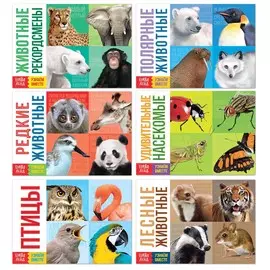 Обучающие книги набор