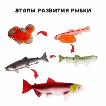 Обучающий набор